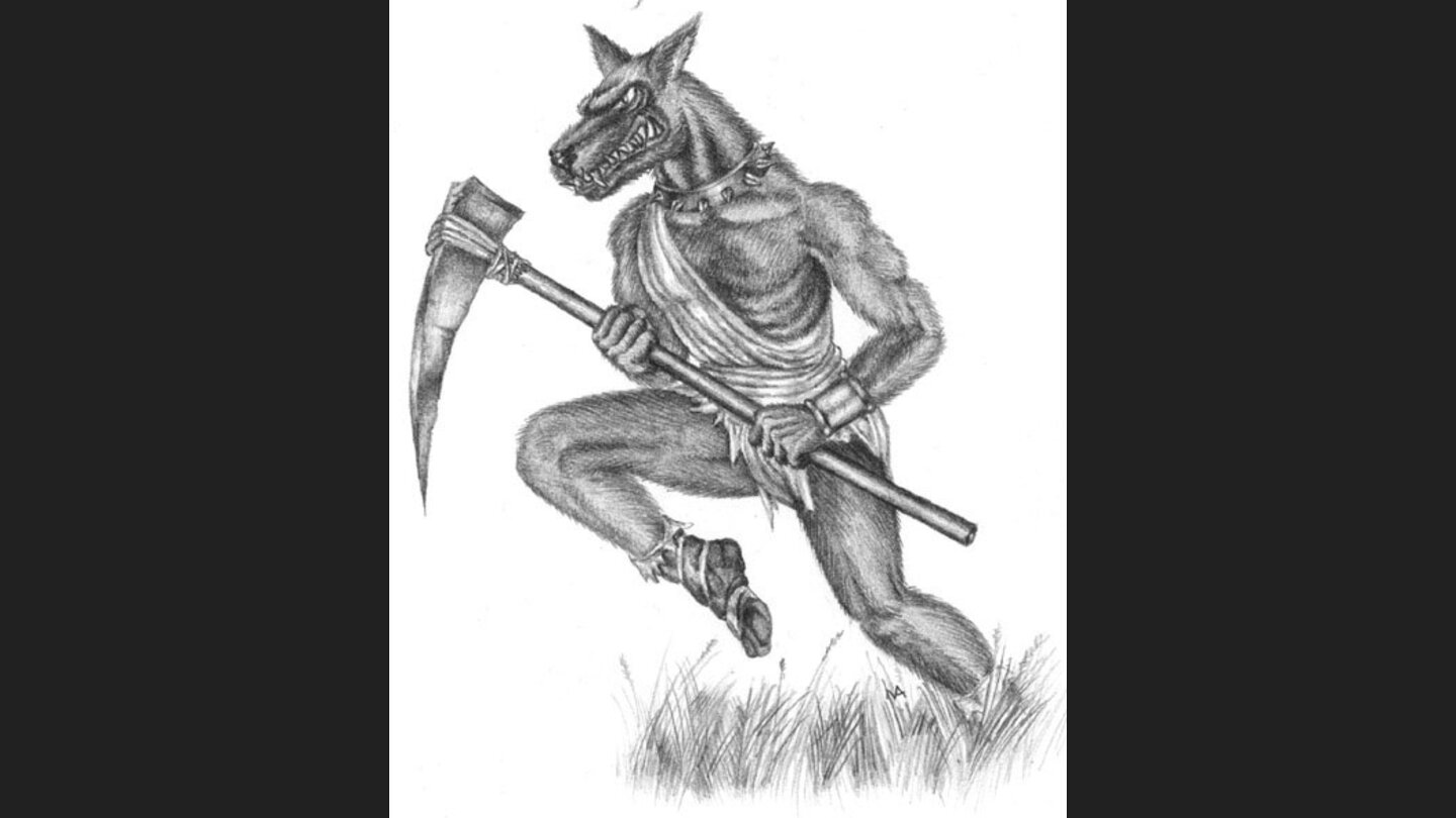 The Lady, the Mage and the Knight