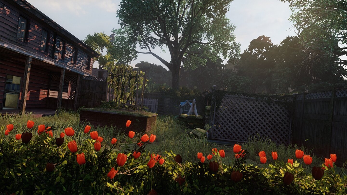 The Last of Us - Abandoned Territories