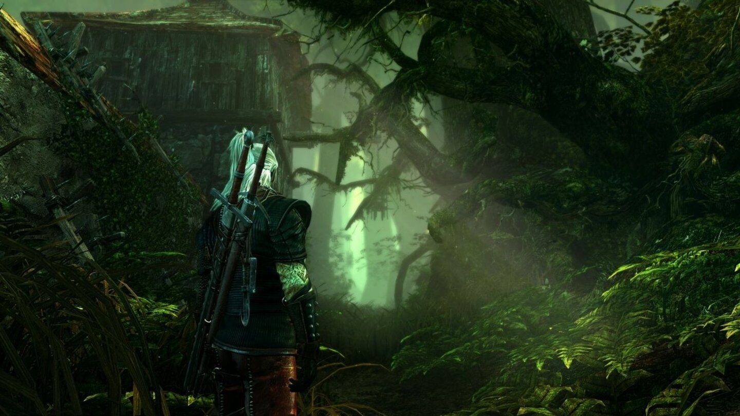 The Witcher 2 Assassins of Kings