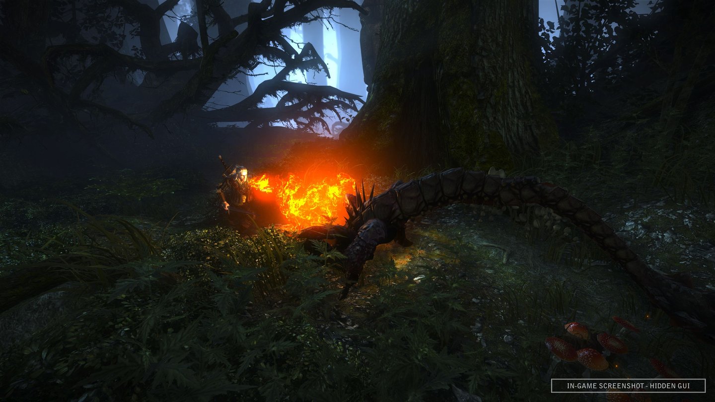 The Witcher 2: Fight in the forest