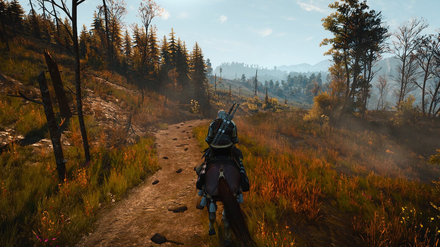 The Witcher 3 Next Gen