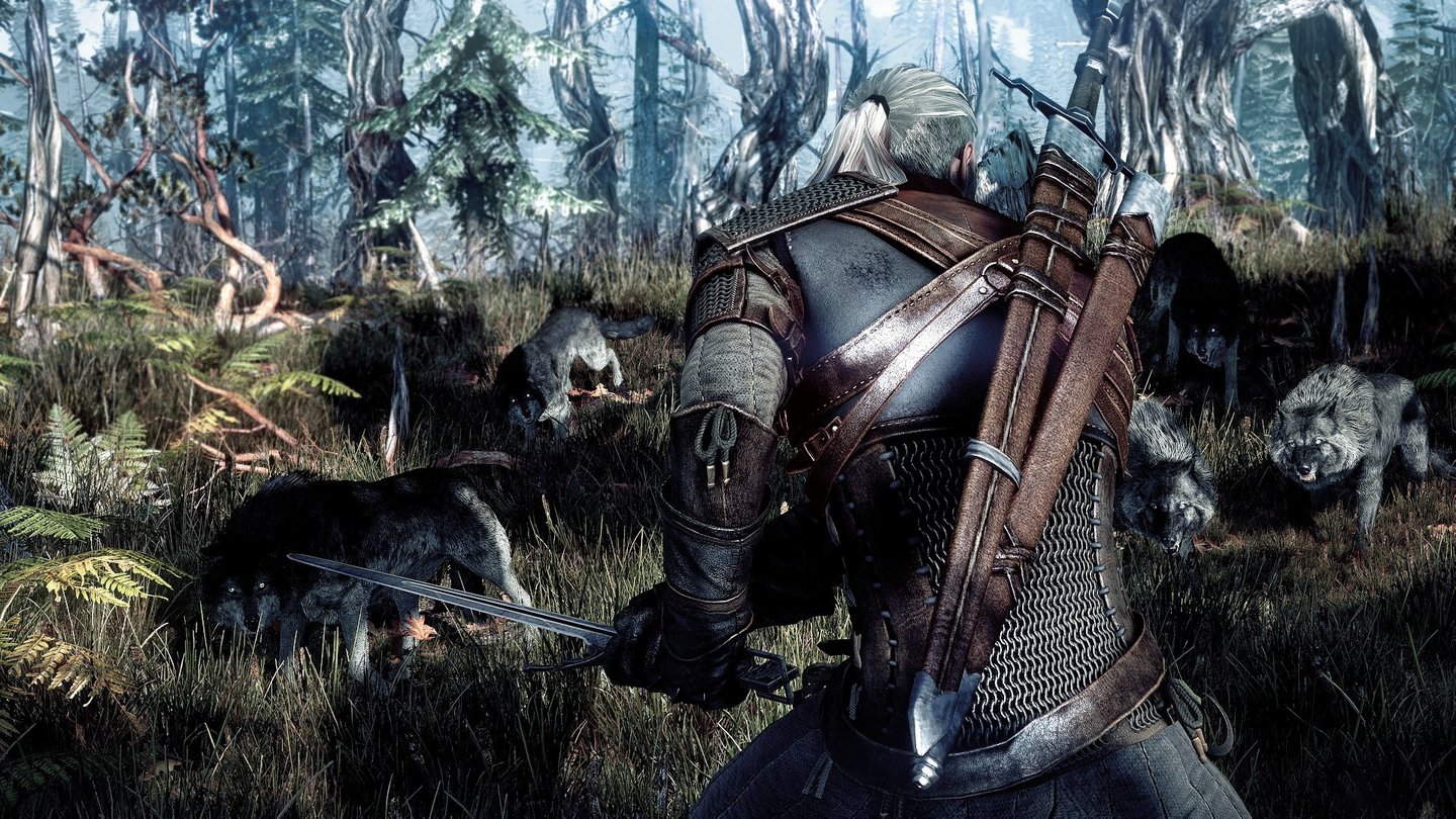 The Witcher 3: Wild HuntWölfe arbeiten zusammen und versuchen, Geralt einzukreisen.