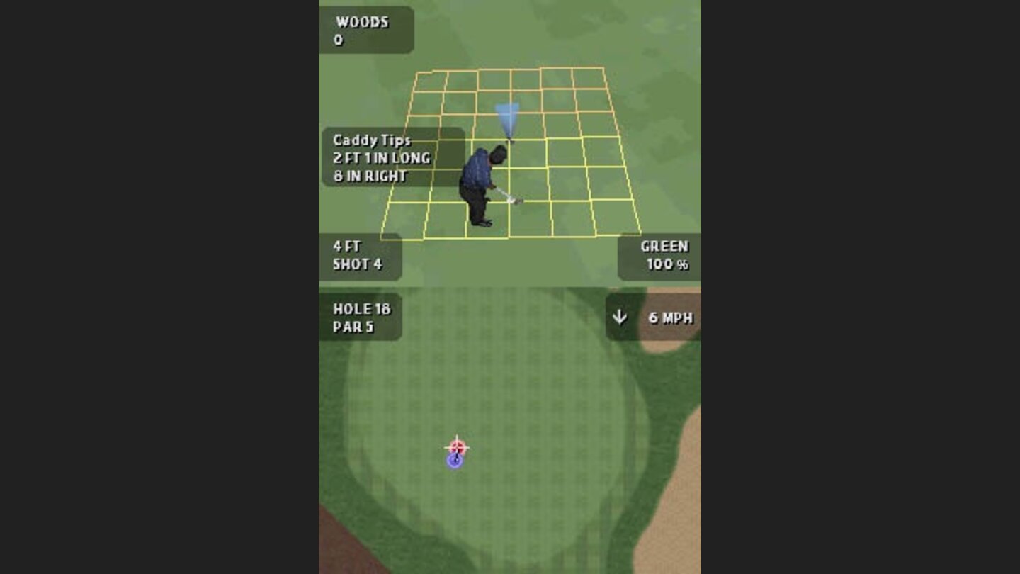 TigerWoods 5