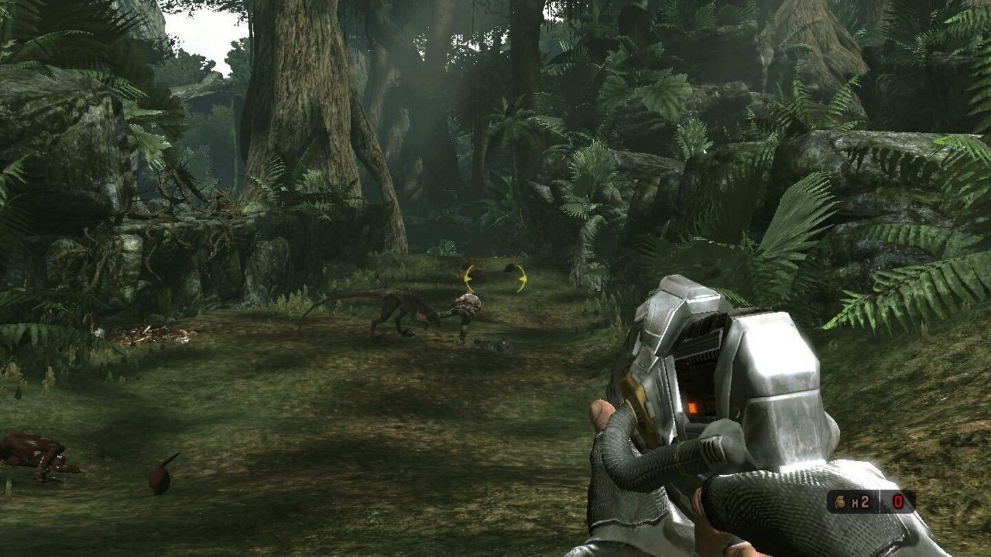 Turok 6