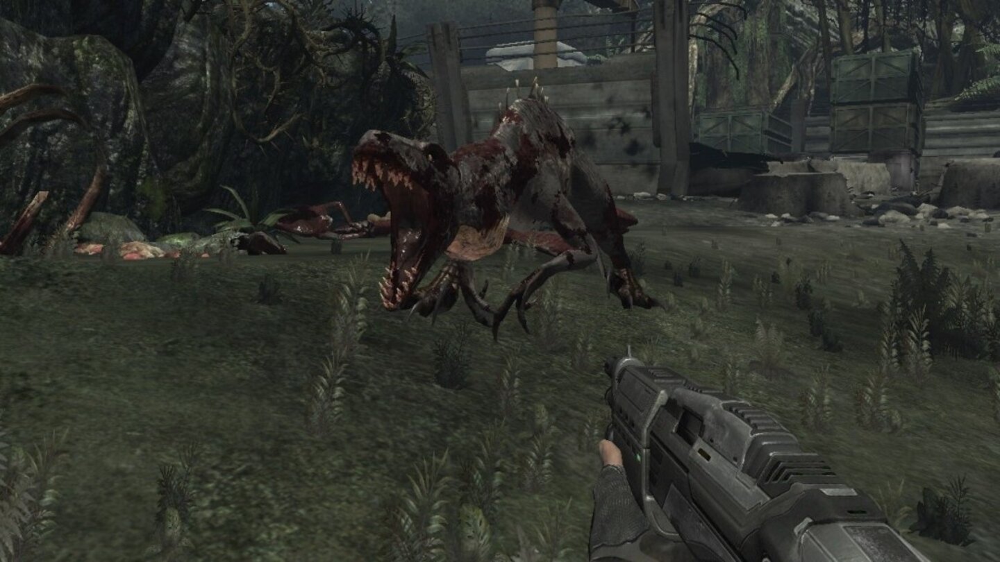 Turok 7