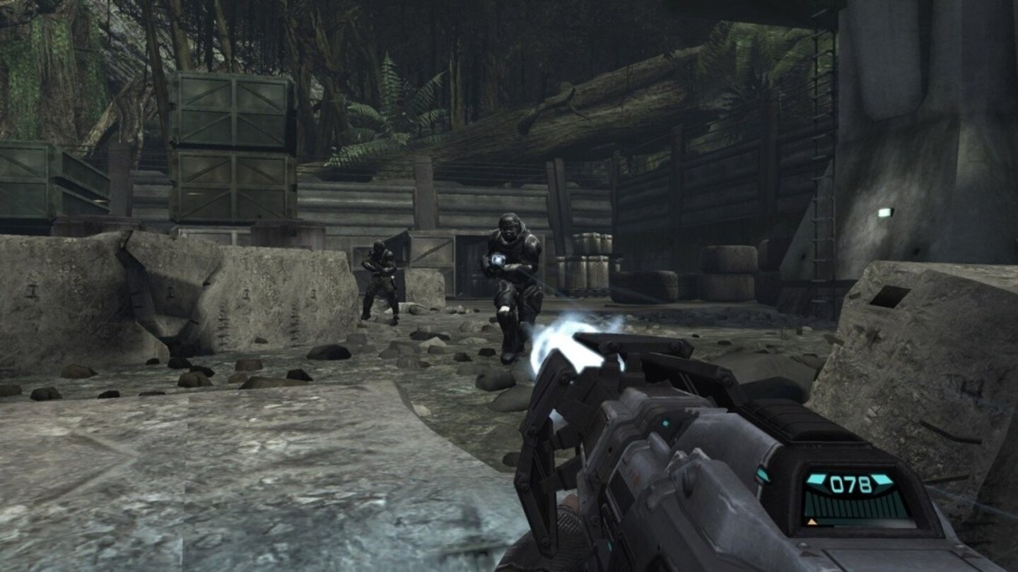Turok 8