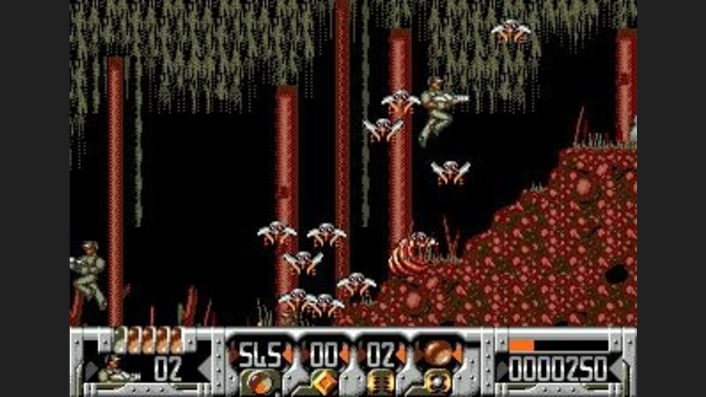 Lots of insects are coming from the hive