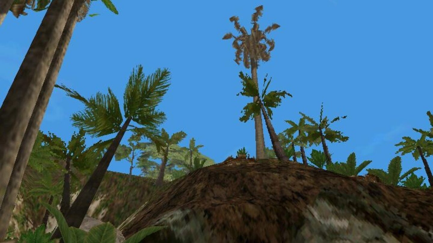 Vegetation in Trespasser