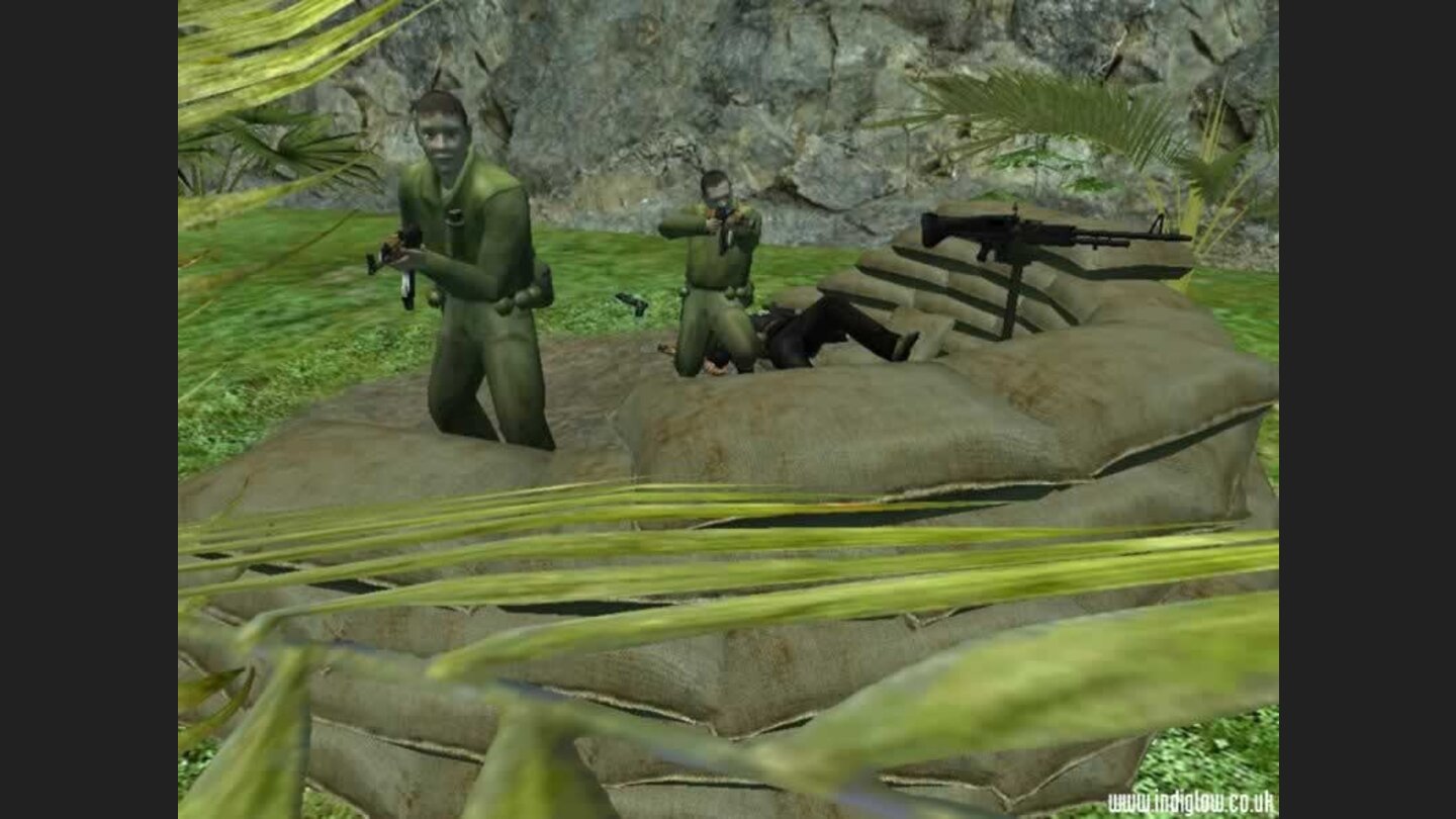 Vietcong 2 First Bravo 11