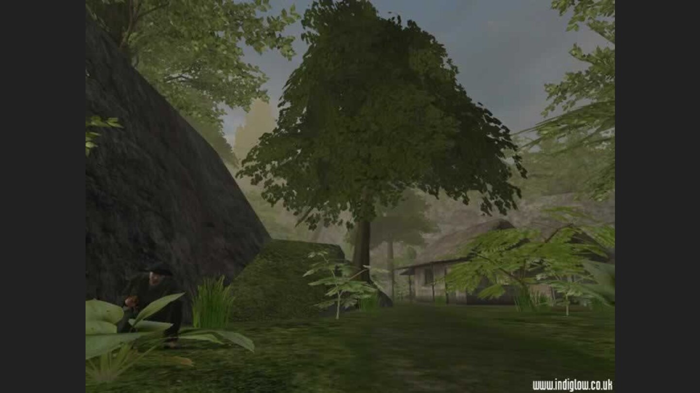 Vietcong 2 First Bravo 12