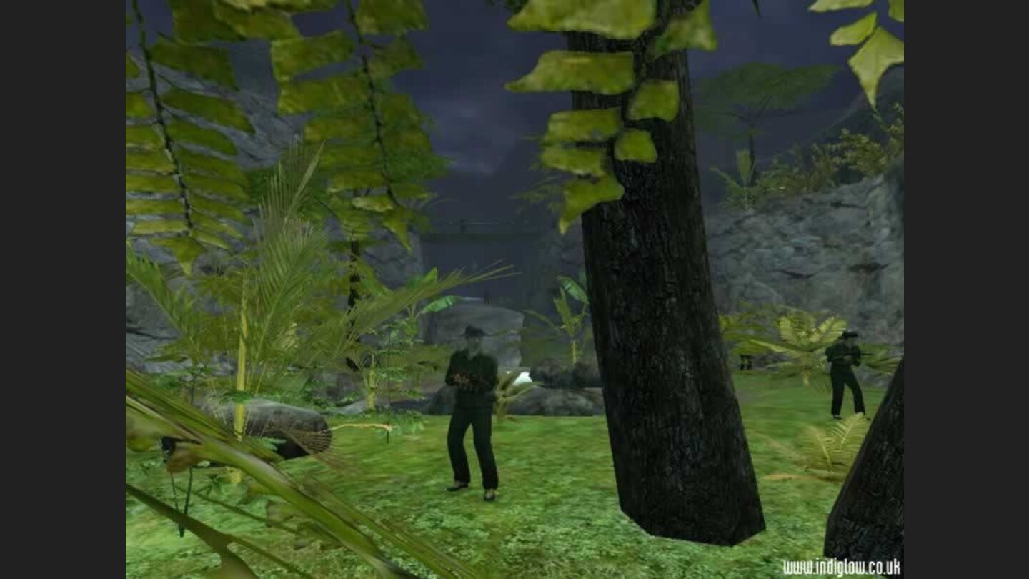 Vietcong 2 First Bravo 8