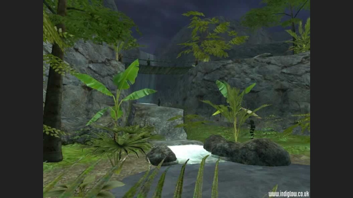 Vietcong 2 First Bravo 9