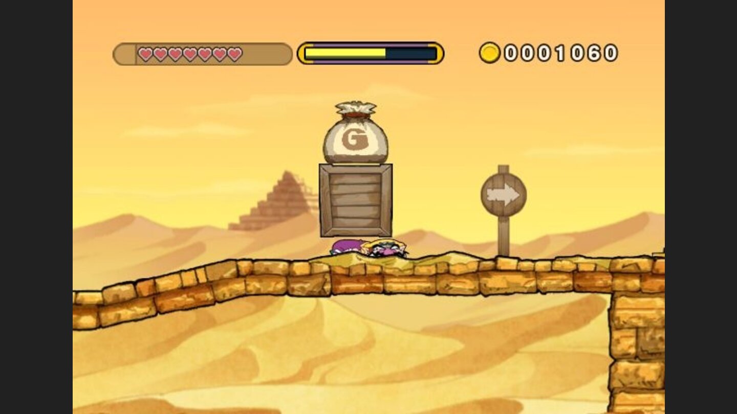 wario_land_tsd_wii_025