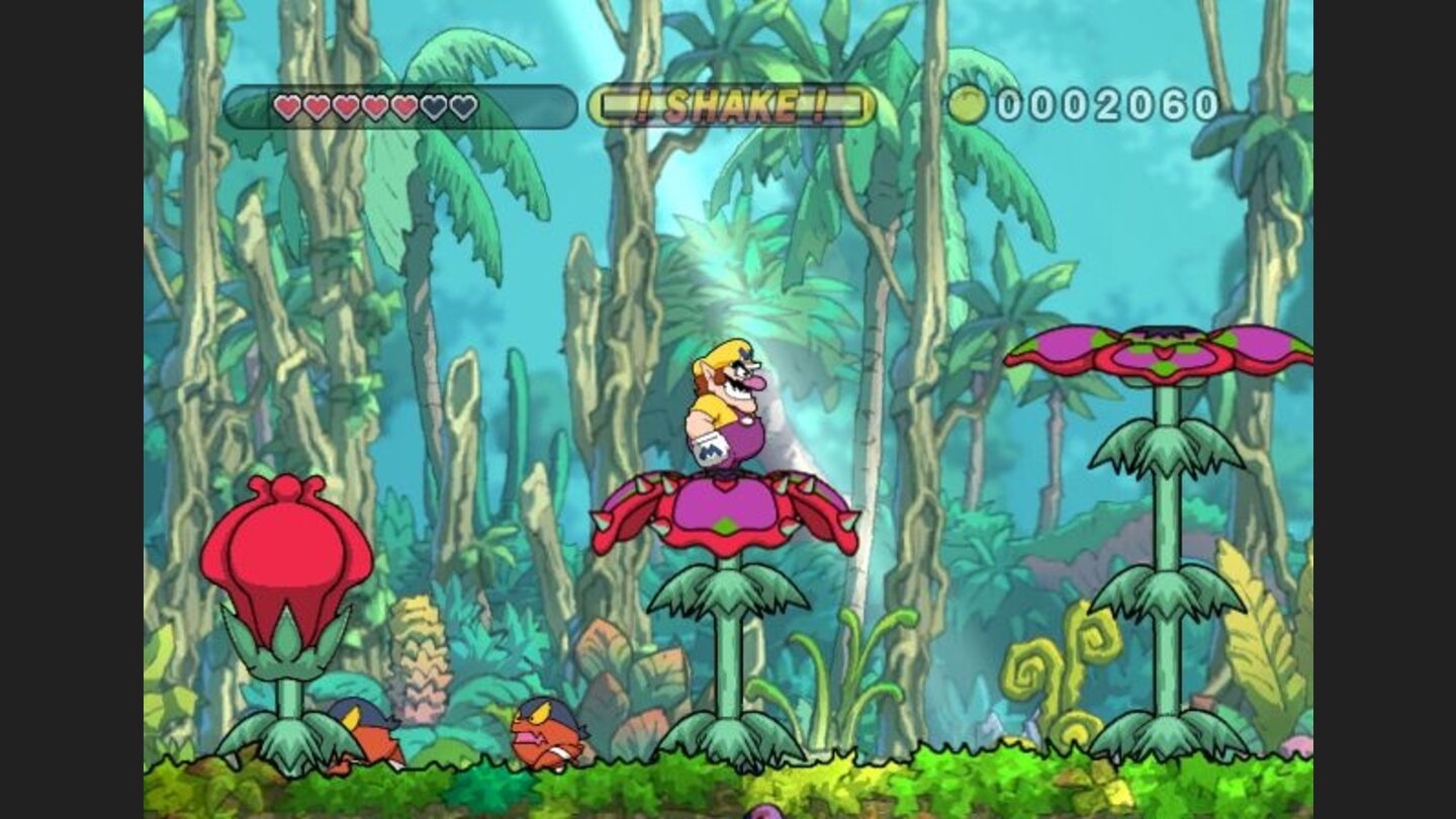 wario_land_tsd_wii_029