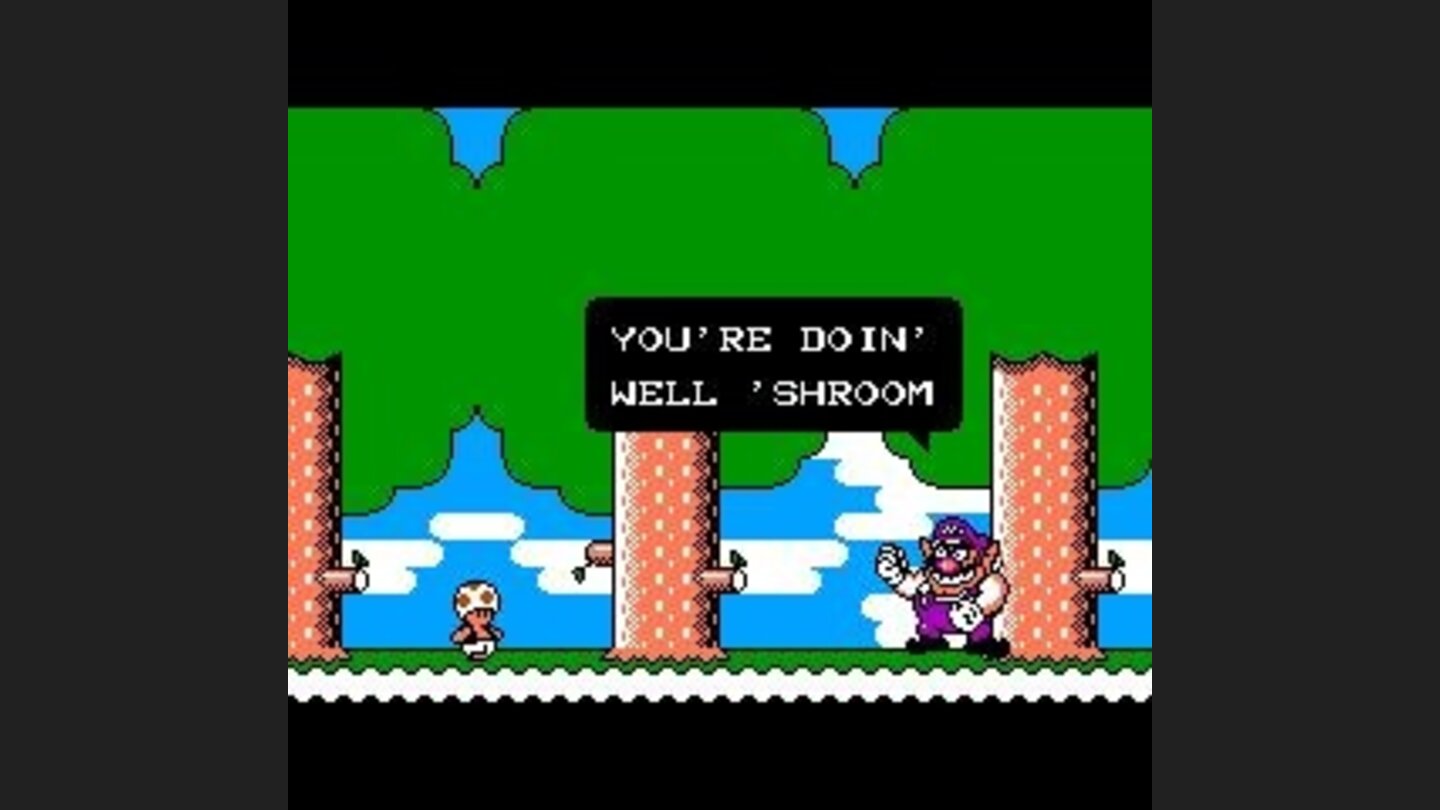 Wario talking to Toad
