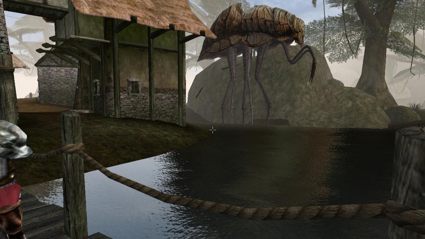Morrowind (2002)Mit DirectX 8 wurden Grafikkarten programmierbar und damit flexibler. Eines der Spiele, das besonders viel aus der neuen Grafikschnittstelle herausholt und besonders durch seine Wasserdarstellung überzeugt, ist The Elder Scrolls 3: Morrowind.