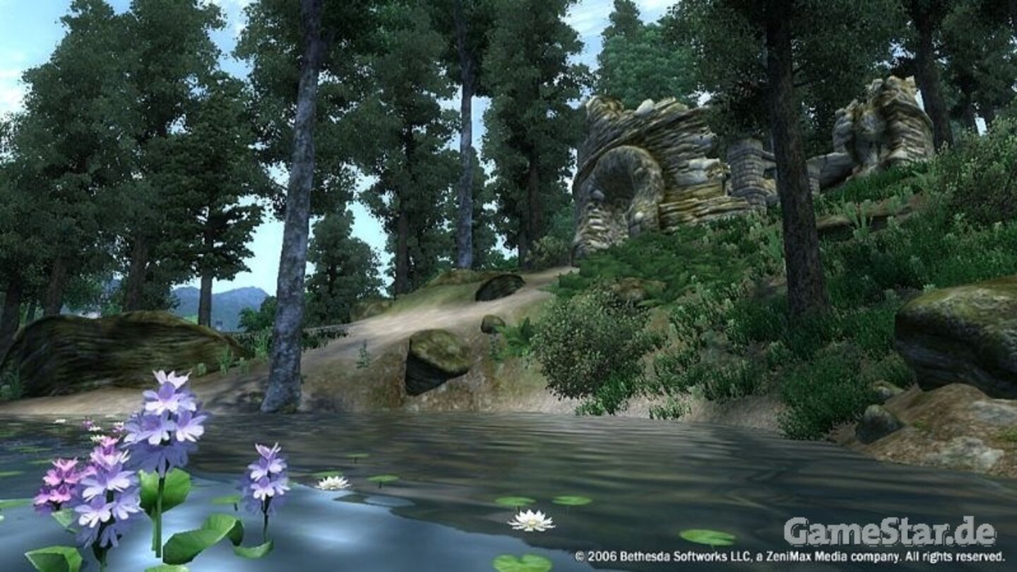 Wasser in Oblivion