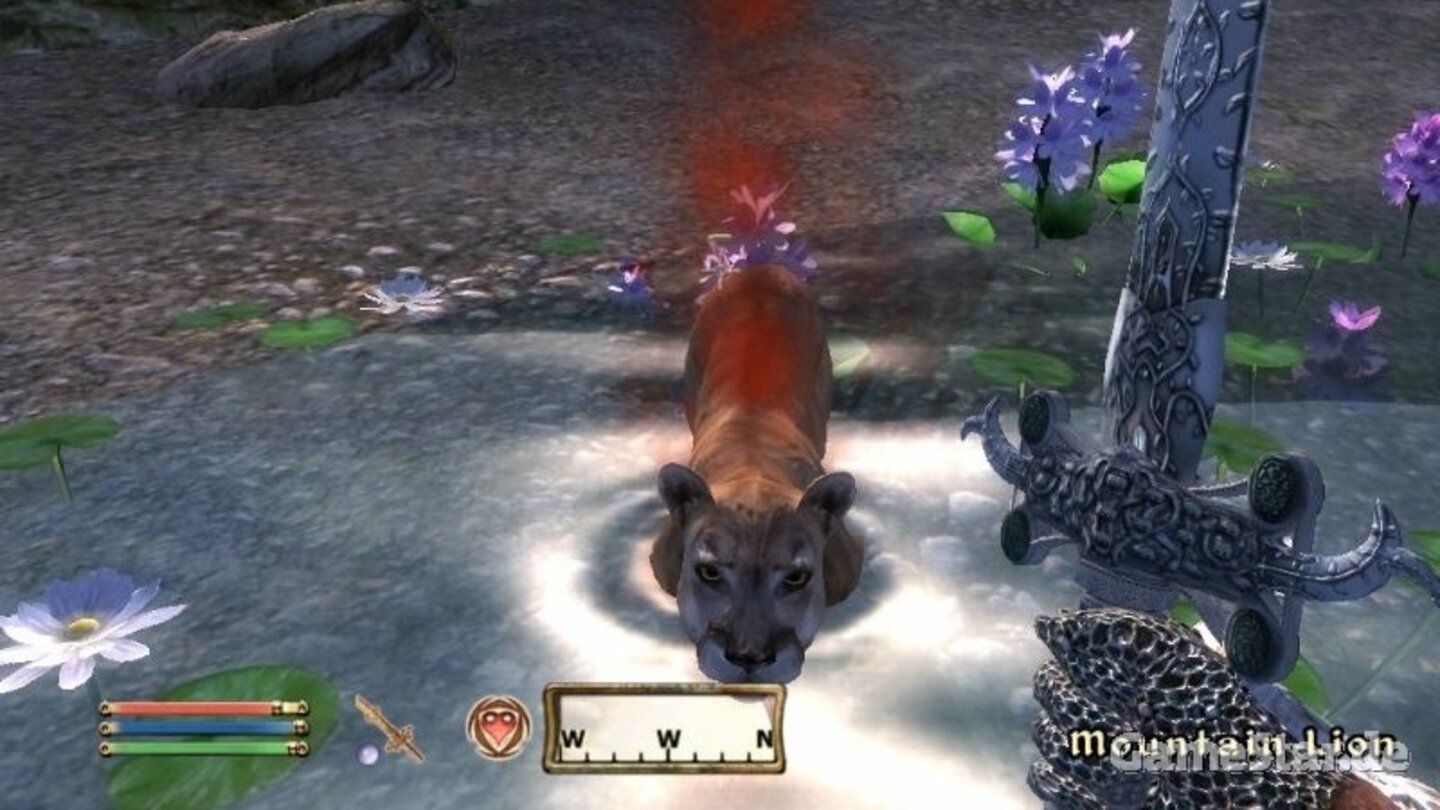 Wasser in Oblivion