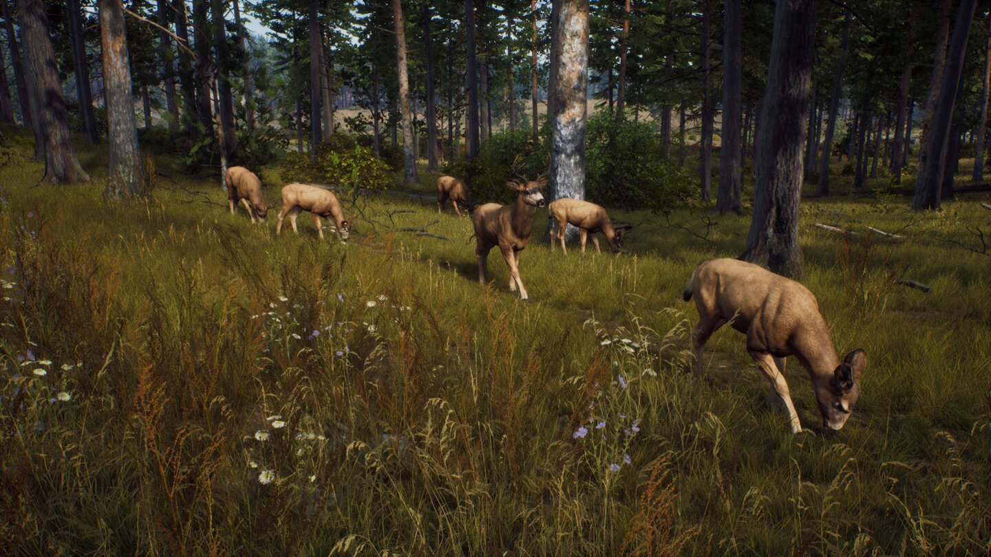 Way of the Hunter
Screenshots zur Jagdsimulation