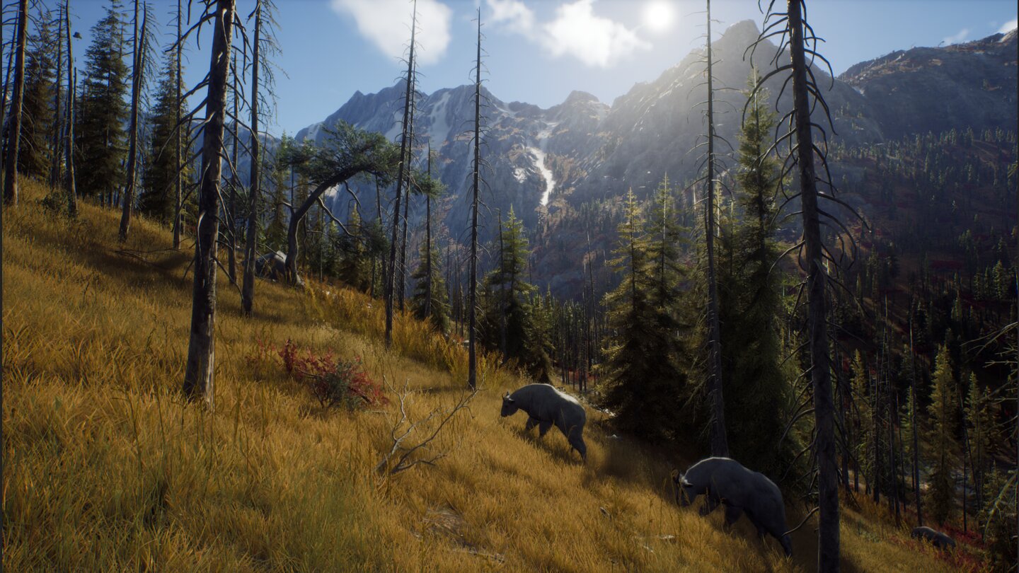 Way of the Hunter
Screenshots zur Jagdsimulation