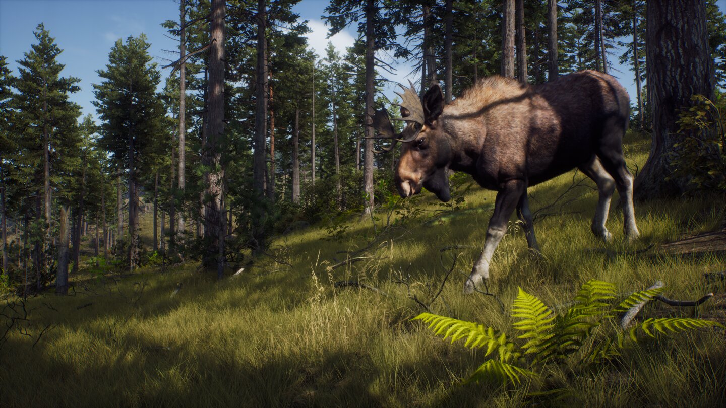 Way of the Hunter
Screenshots zur Jagdsimulation