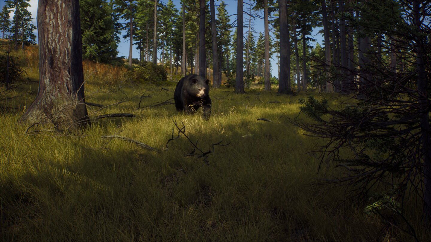 Way of the Hunter
Screenshots zur Jagdsimulation