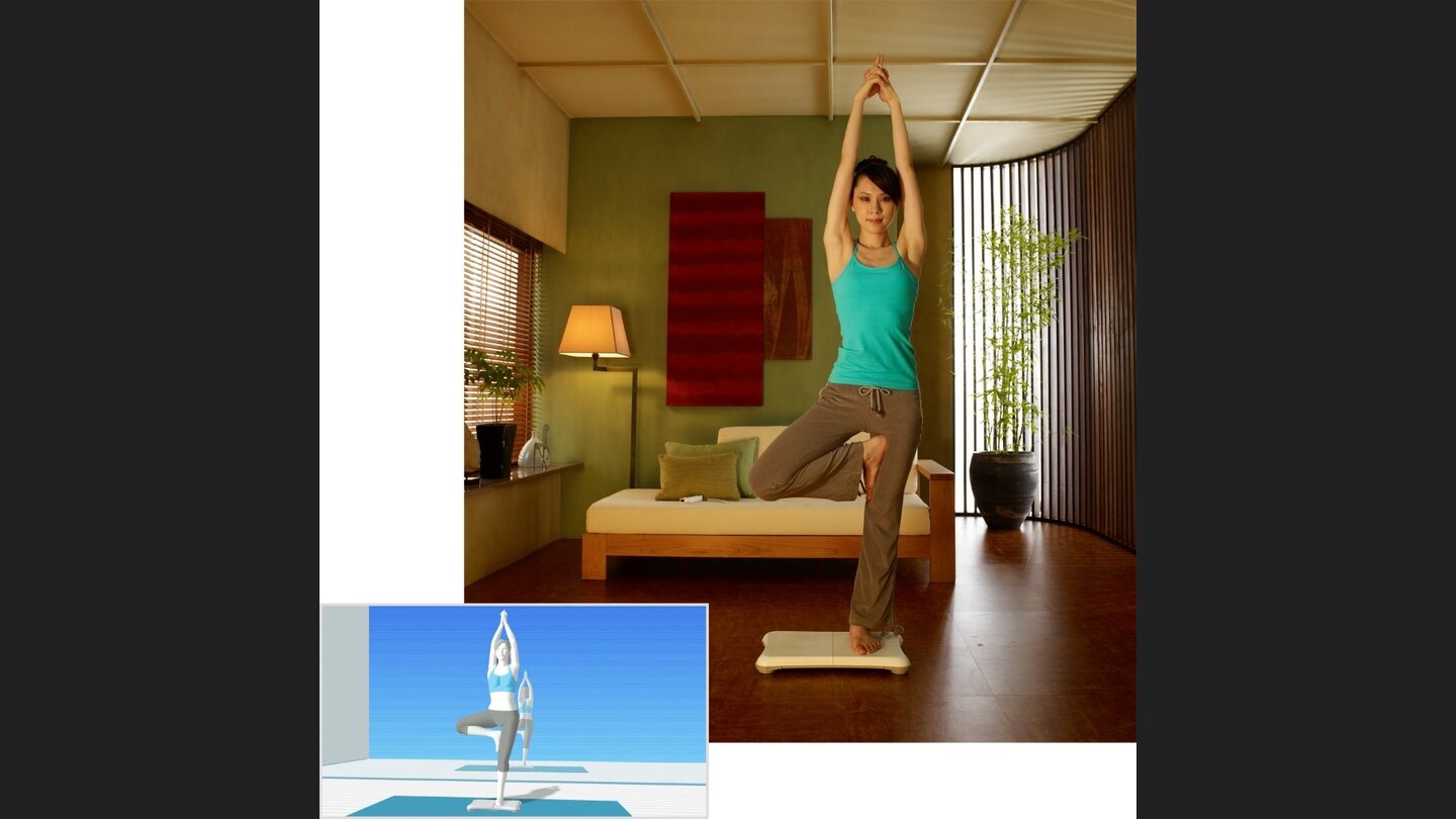 WiiFitWii-11513-761 5