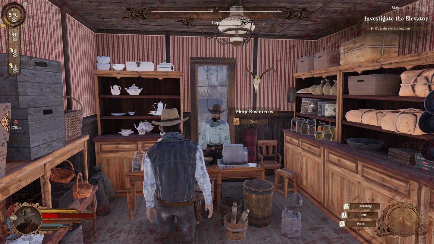 Wild West Dynasty
