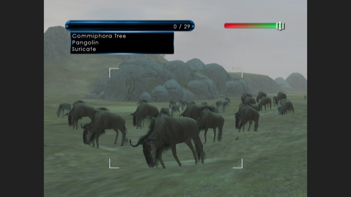 WildEarthAfricanSafariWii-8644-581 1