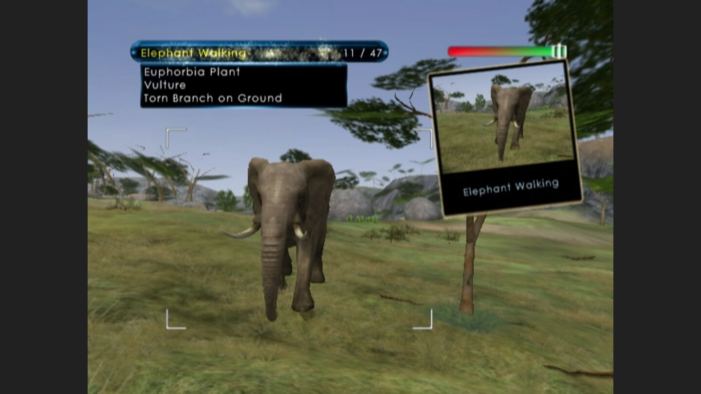 WildEarthAfricanSafariWii-8644-581 5