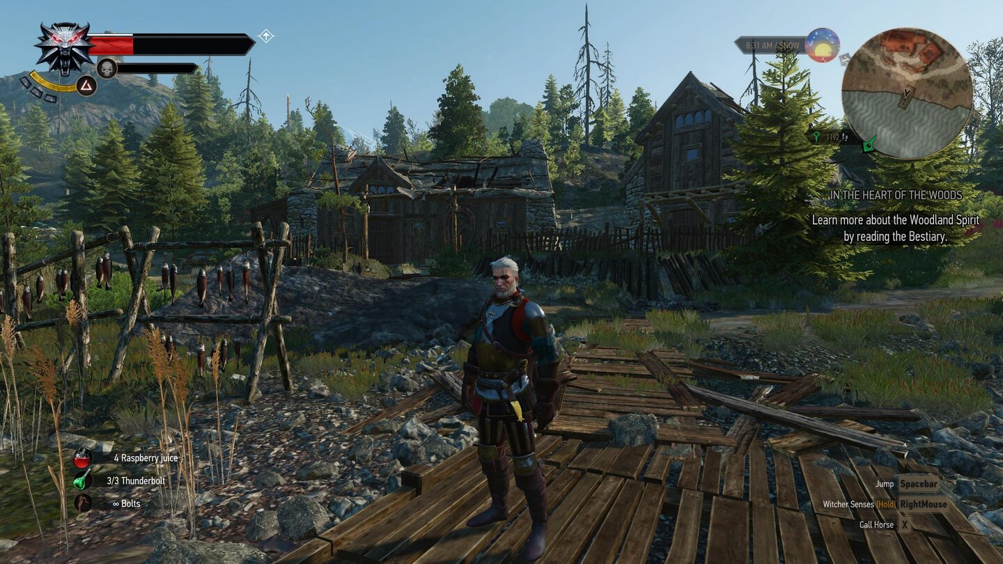 Witcher 3 - Technik - Low 02