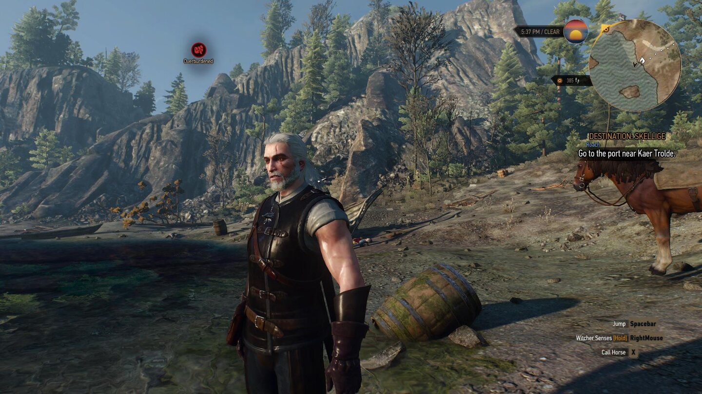 Witcher 3 - Technik - Low