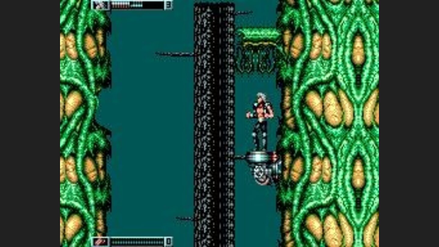 The Forest ... Level 2