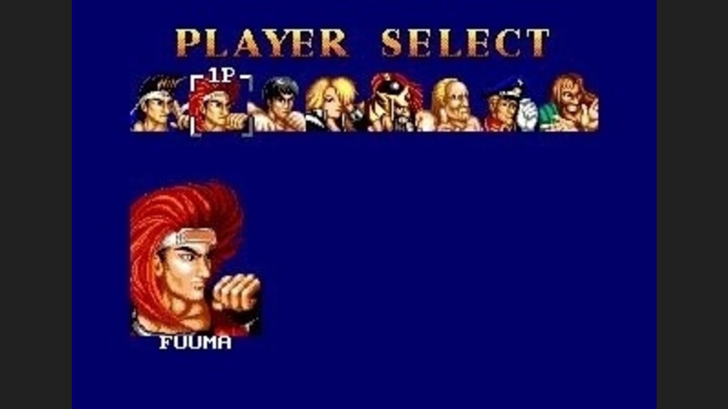 Choose a fighter.
