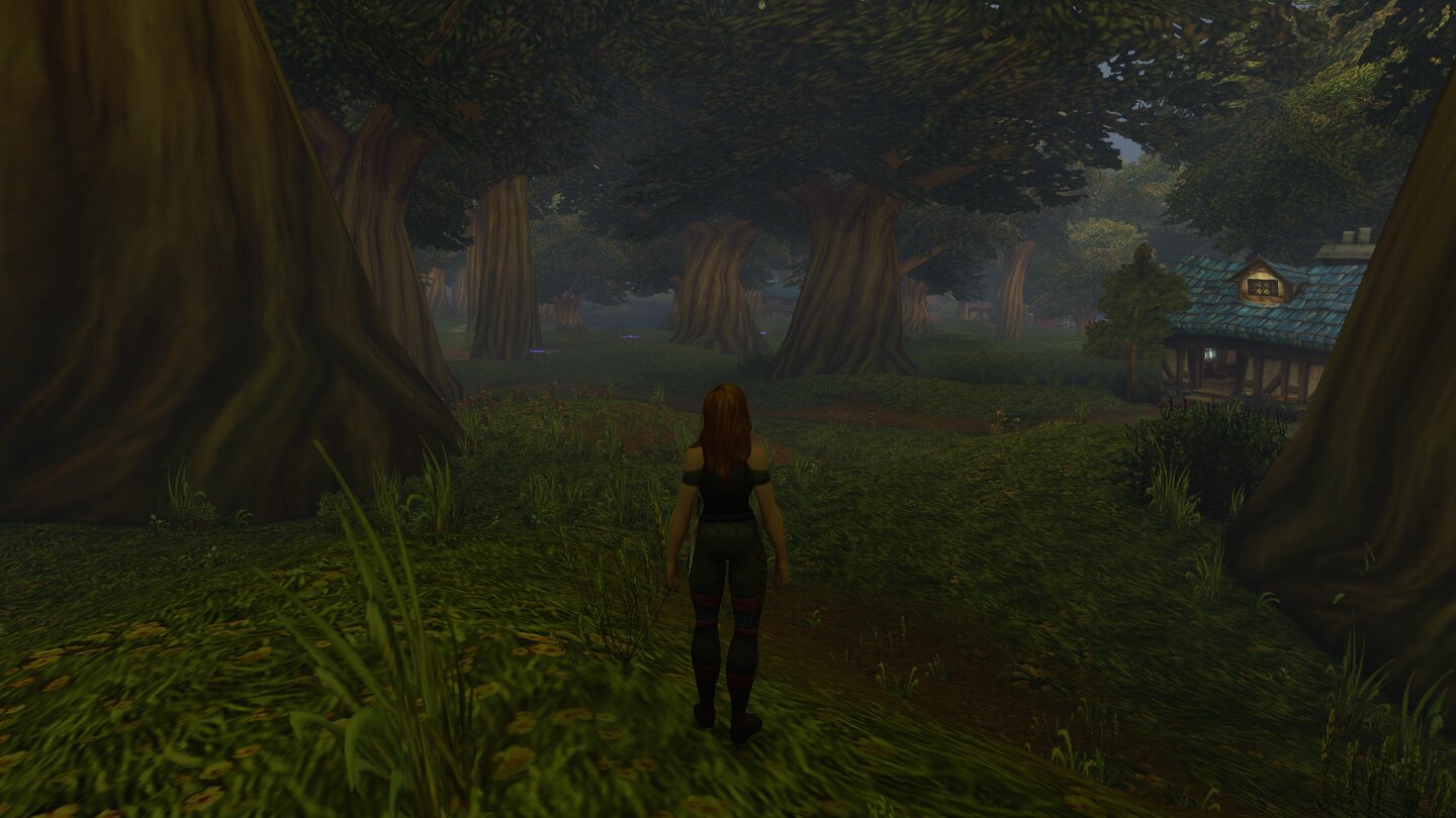 World of Warcraft: Forever