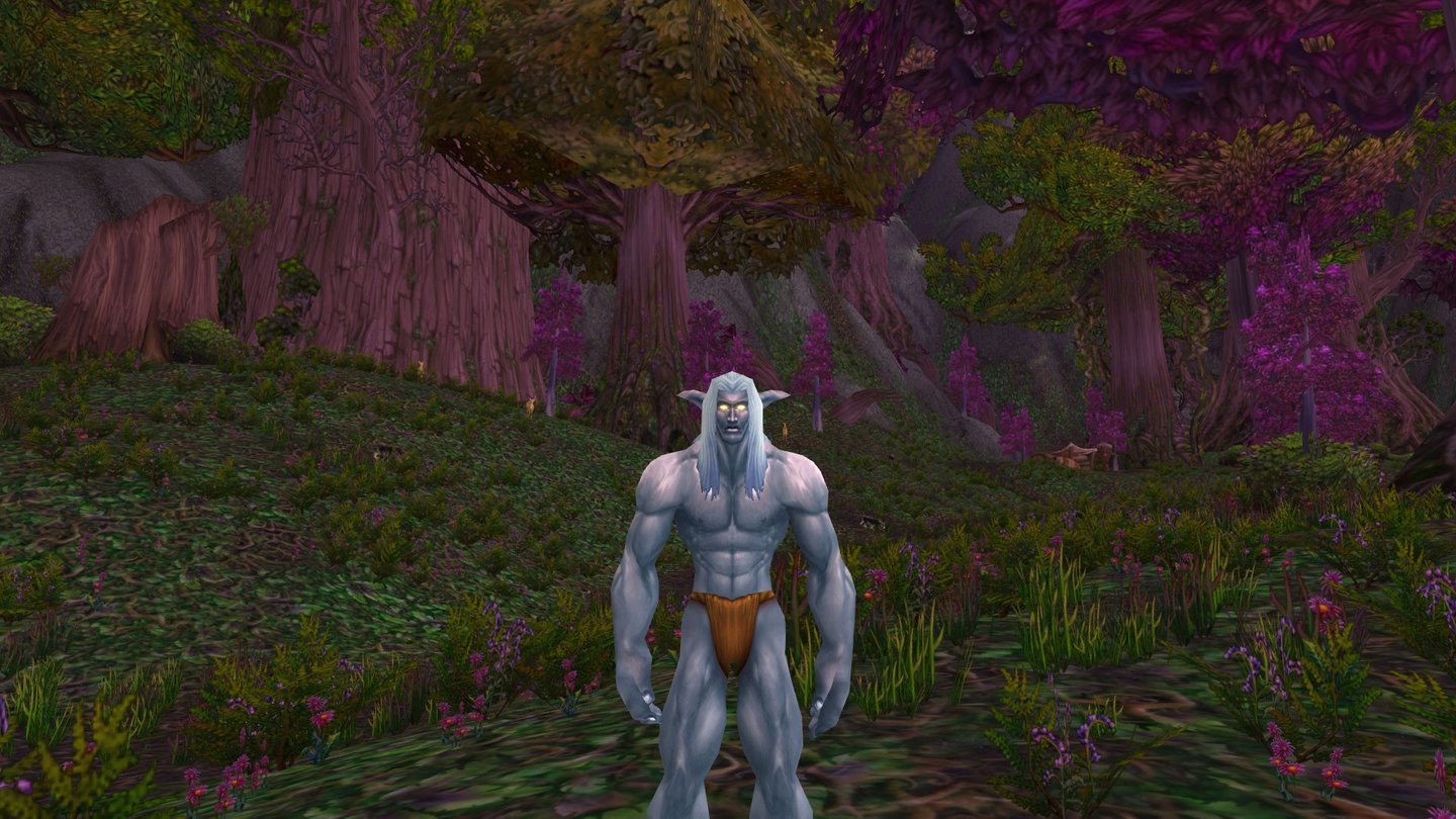 World of Warcraft: Warlords of DraenorMännlicher Nachtelf vor dem Addon