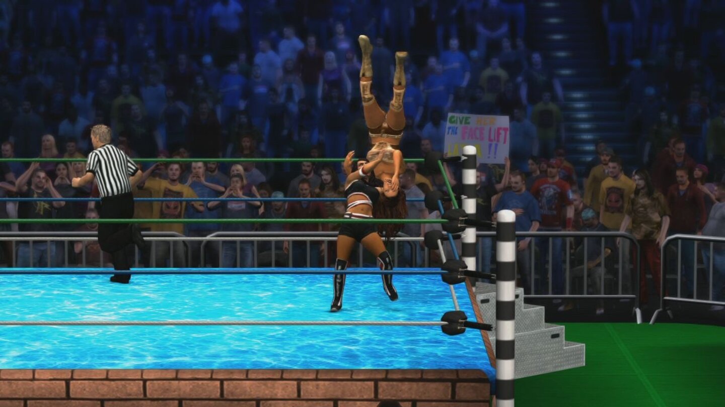 WWE 12