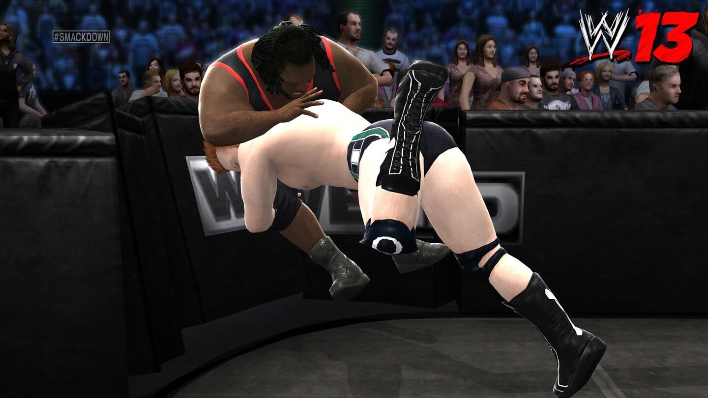 WWE 13