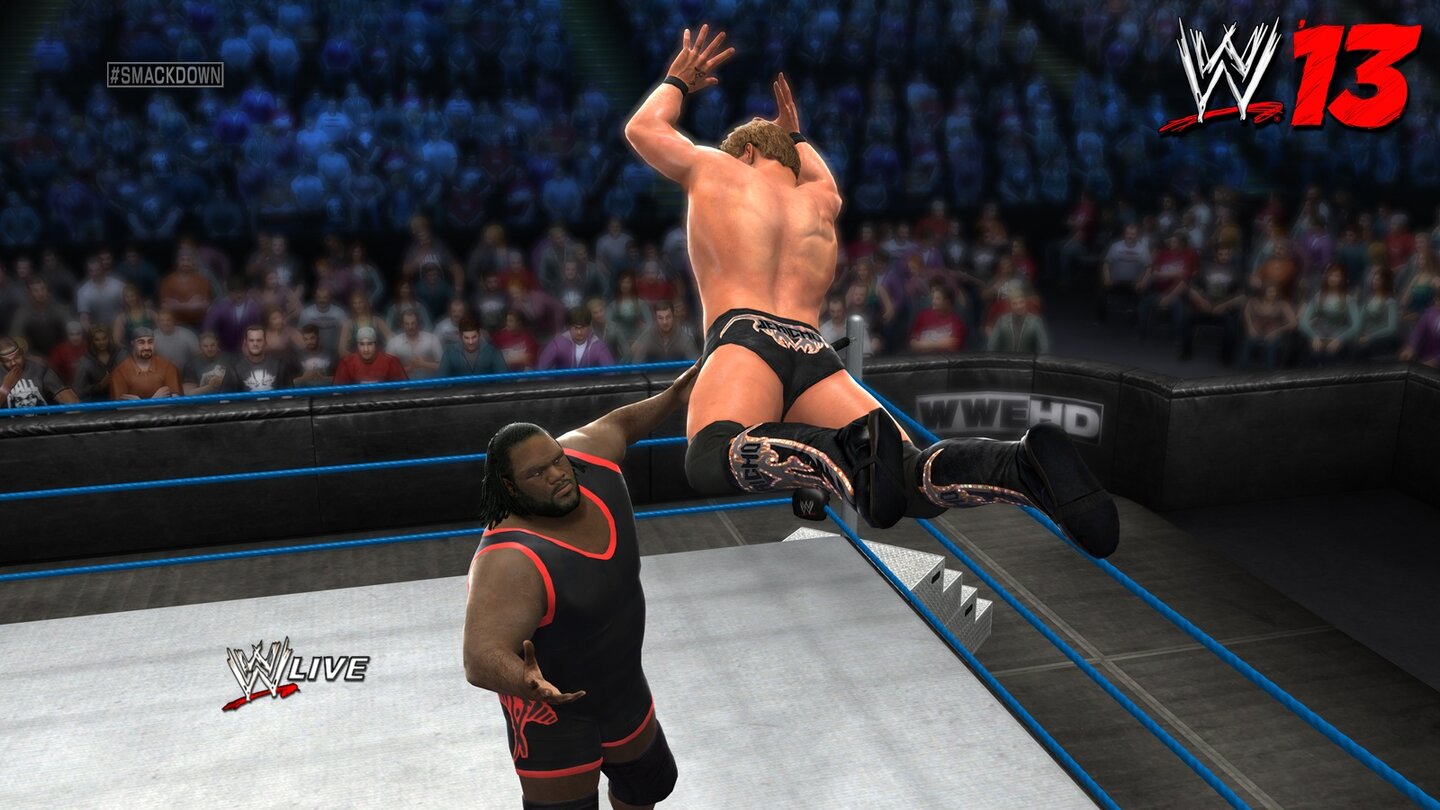 WWE 13