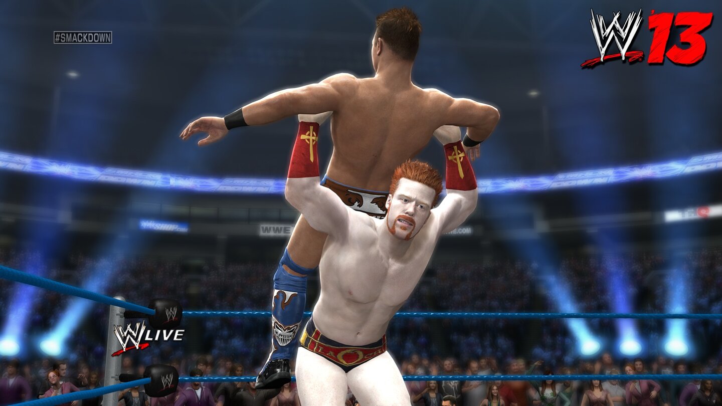 WWE 13