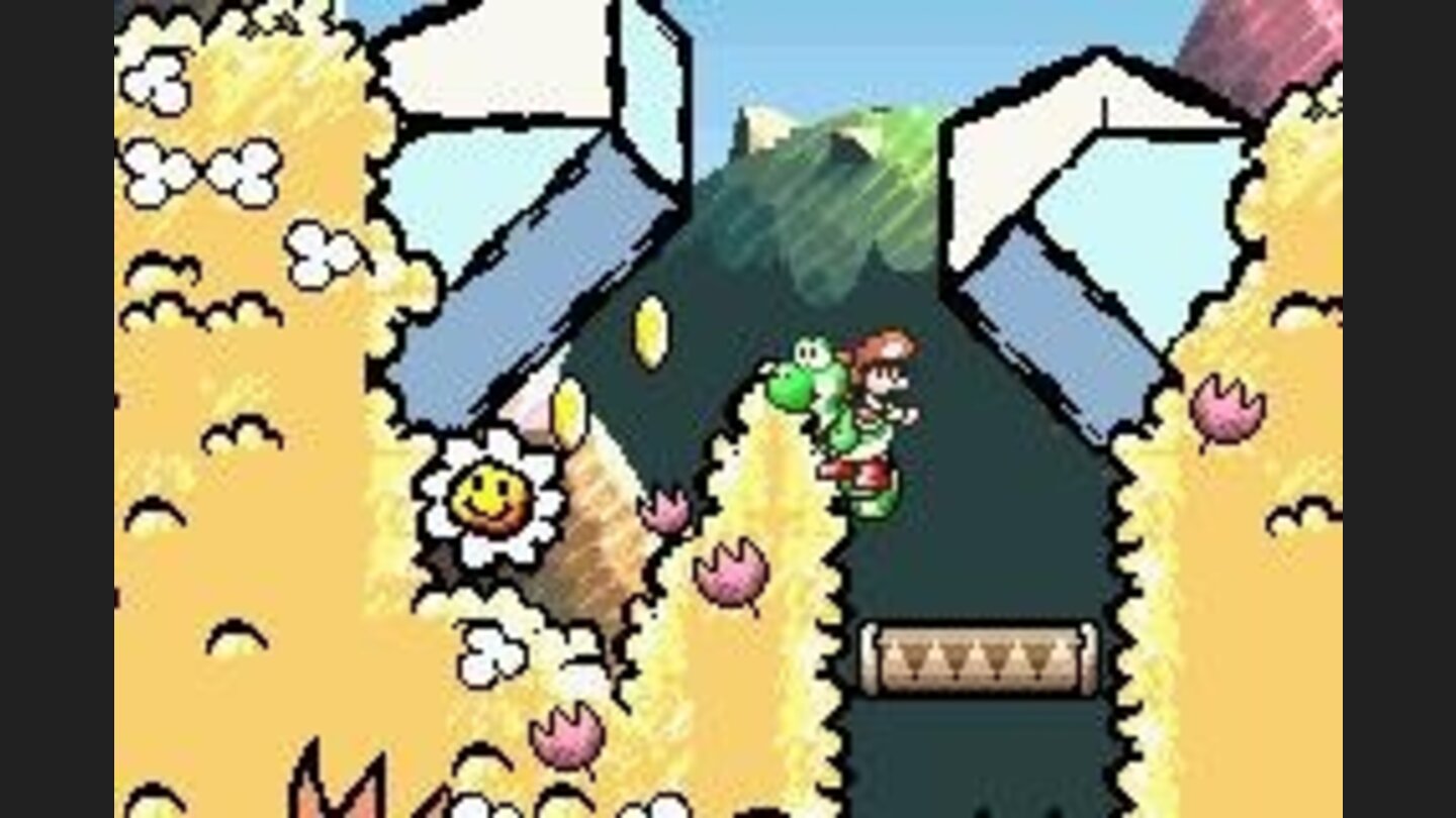 Collect five of these flowers and get a 1up.