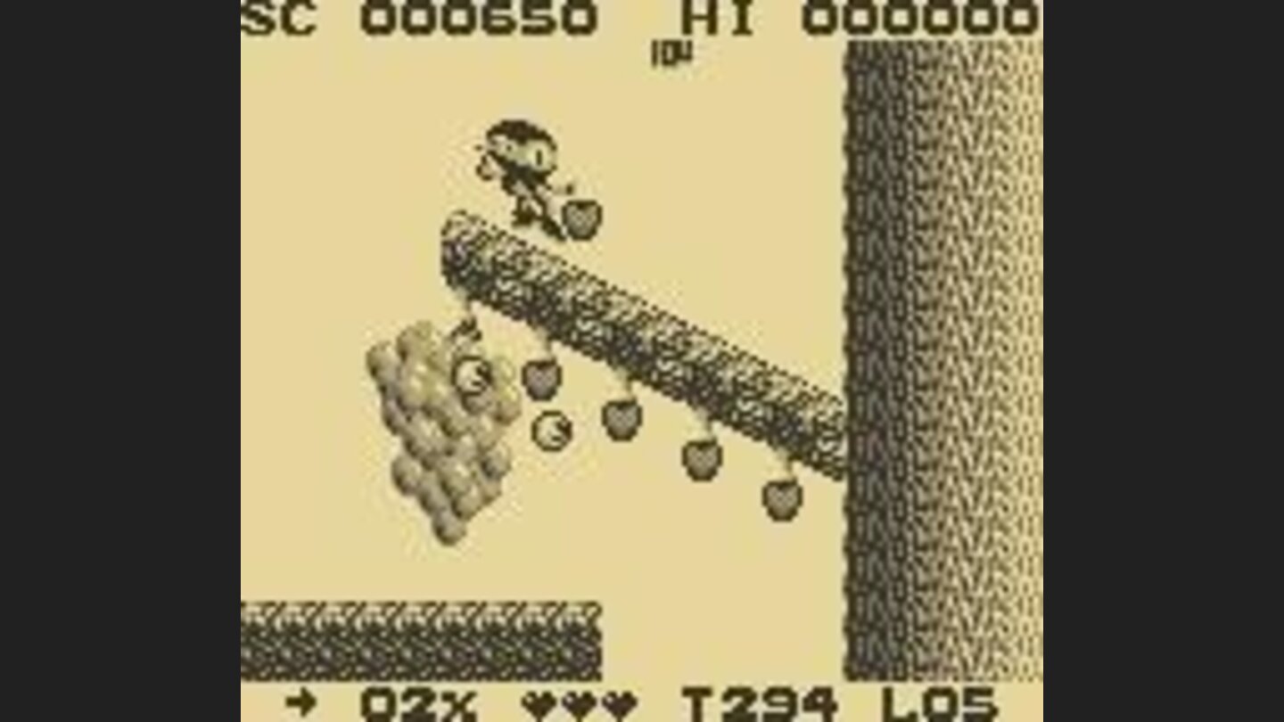 Zool slides down the trees.