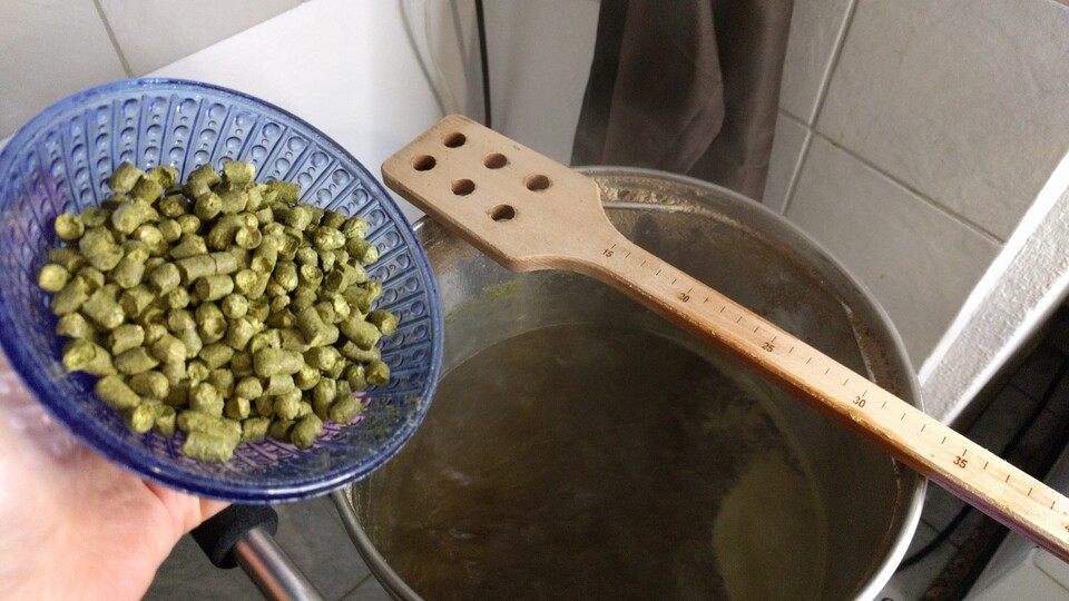 Der wohlig duftende Hopfen hat den größten Einfluss auf das Aroma eures Bieres. Es gibt ihn in verschiedenen Konsistenzen. Hier zu sehen sind klassische Pellets. (Bildquelle: Nele WobkerGameStar Tech)