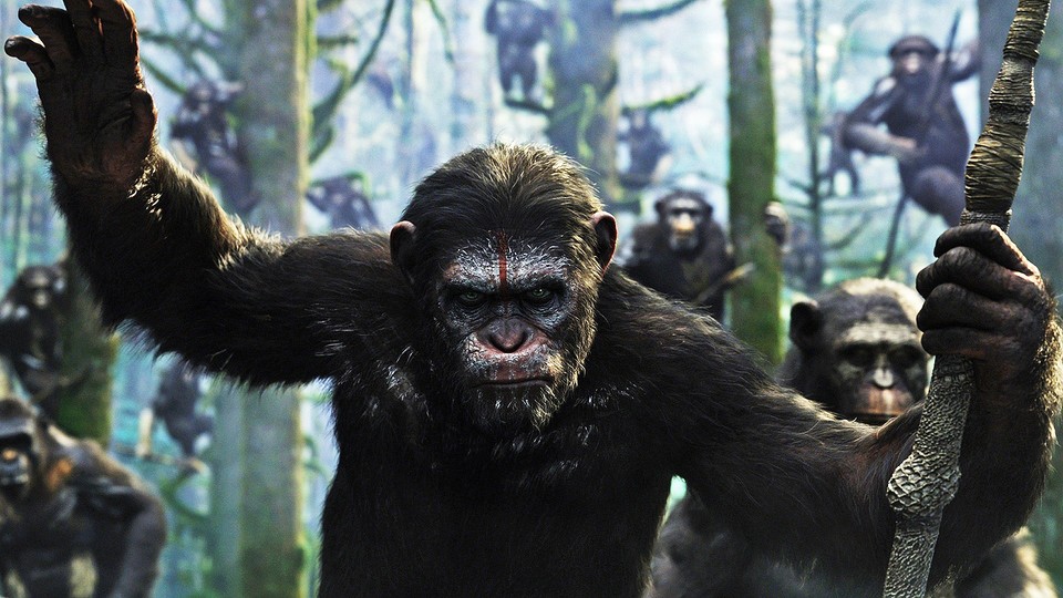 Gewinnt eine Rolle als Affe im neuen Planet der Affen-Film mit Andy Serkis.