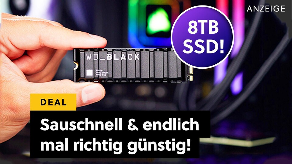 Samsung ist einer der beliebtesten SSD-Hersteller. Auch im Trend: WD_Black. Die SN850X gilt als sehr zuverlässig.
