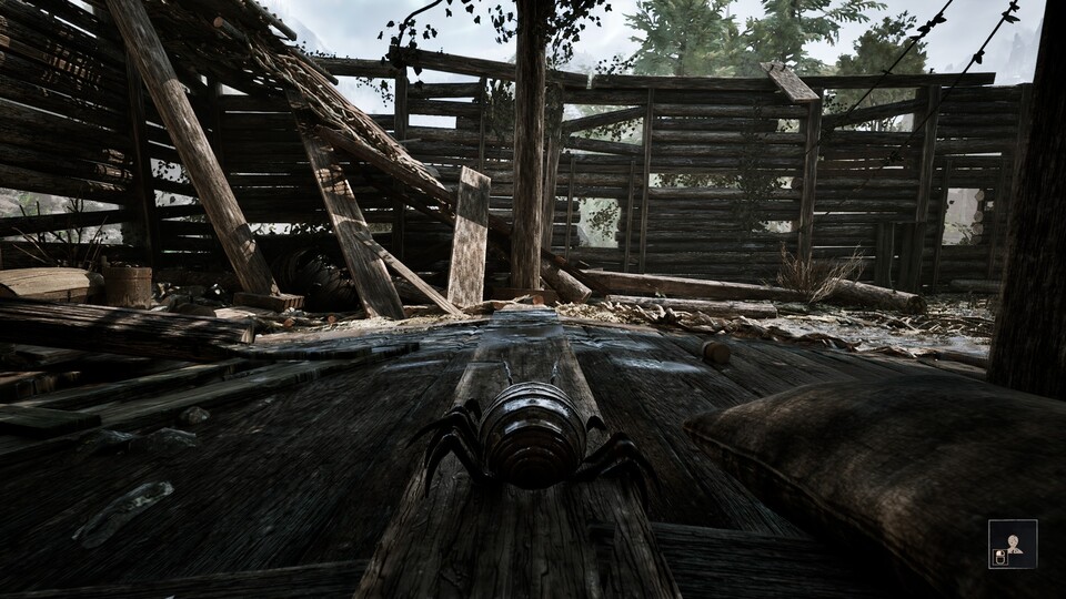 Geht in der Hütte in den Keller und lasst euch von da in den Tunnel fallen.
