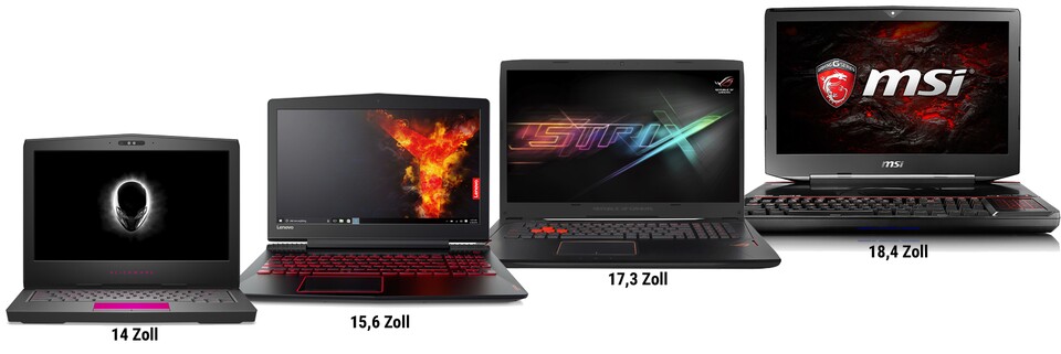 Notebooks verschiedener Hersteller im Größenvergleich. (Quelle: notebooksbilliger)