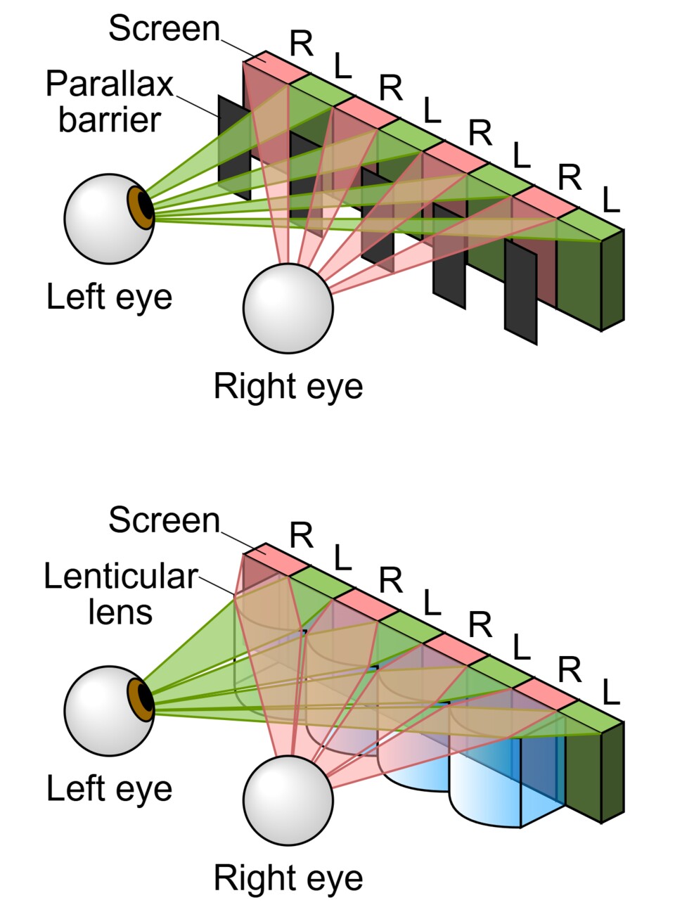 Auf dem Bild seht ihr eine Gegenüberstellung der Funktionsweisen von einer Parallax-Barriere (oben) und einer Lentikularlinse (unten) (Quelle: Wikipedia Cmglee)