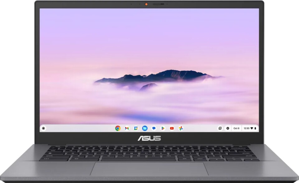Für unter 300 Euro bekommt ihr ein leistungsstarkes Chromebook. (Quelle: Asus)