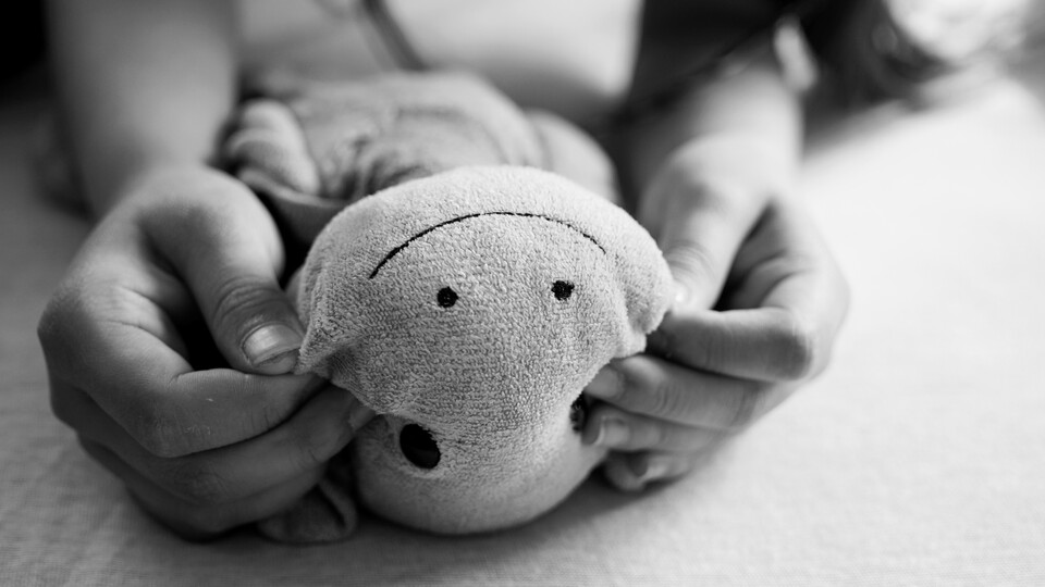 Viele 50mm-Objektive können relativ nah fokussieren, um traumhafte Nahaufnahmen zu ermöglichen. (Sigma 50mm F1.4)